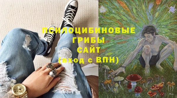 первитин Лиски