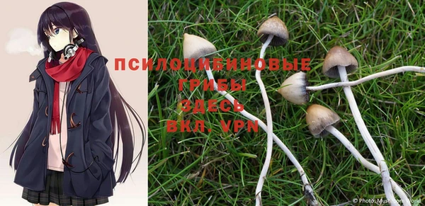 MESCALINE Лихославль