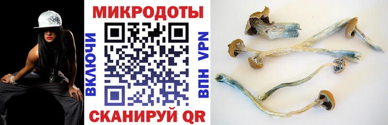 Галлюциногенные грибы мухоморы  Купить где  Пикалёво 